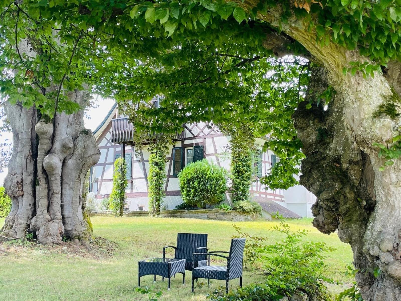 Appartement Villa Seeliebe Taegerwilen Bagian luar foto